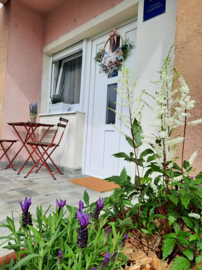 Apartmani Venium Križevci Exteriör bild