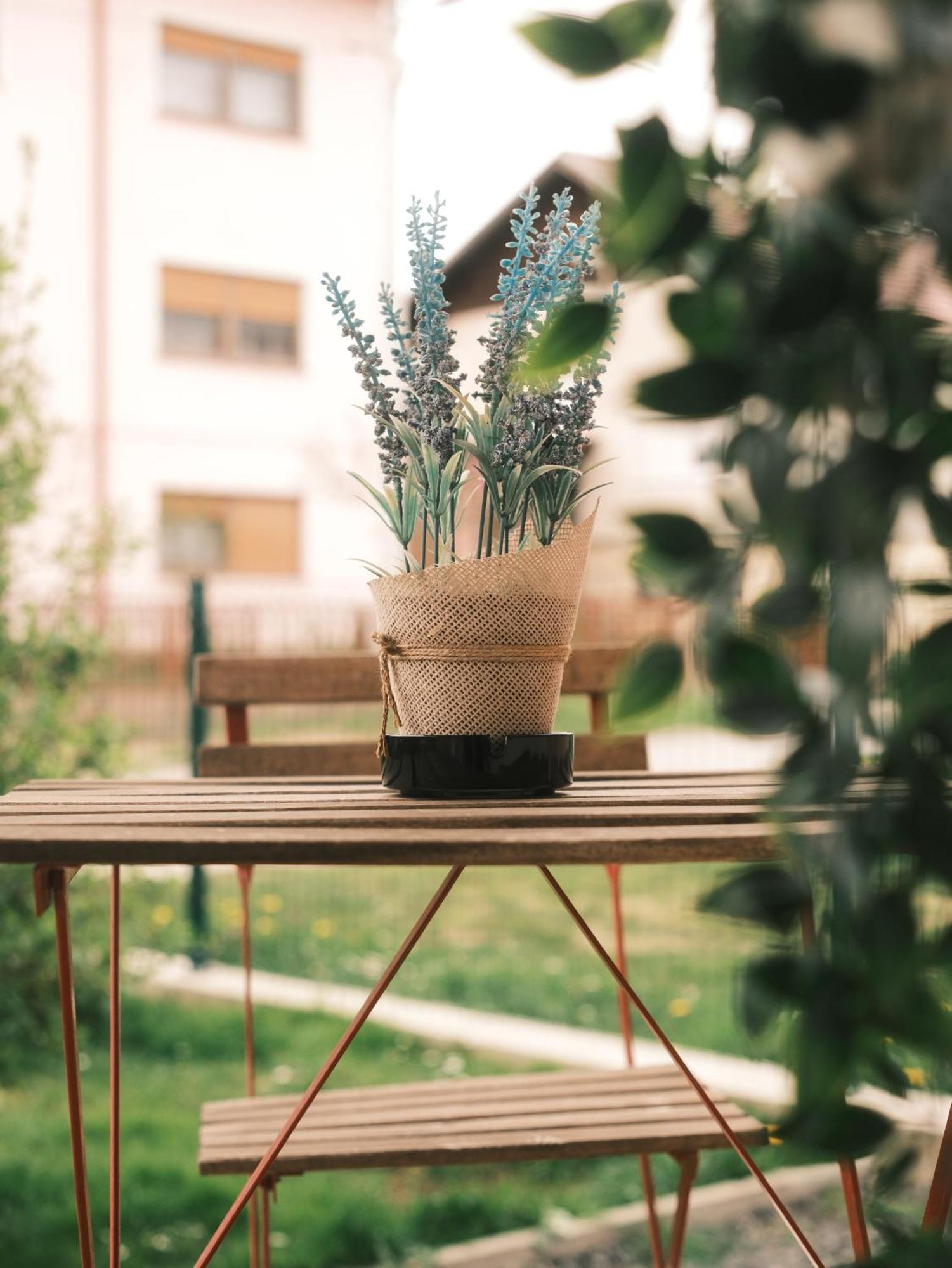 Apartmani Venium Križevci Exteriör bild