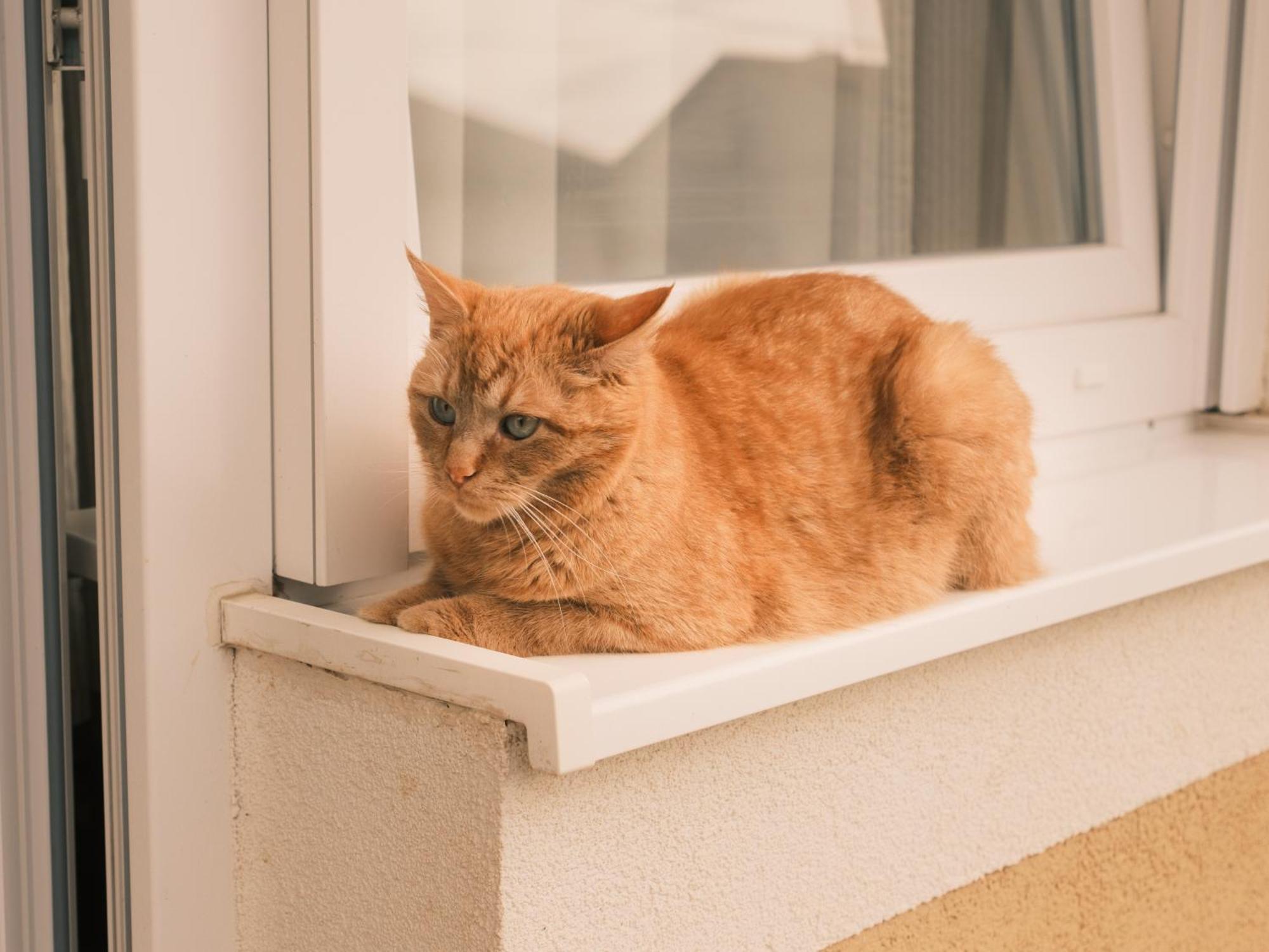 Apartmani Venium Križevci Exteriör bild