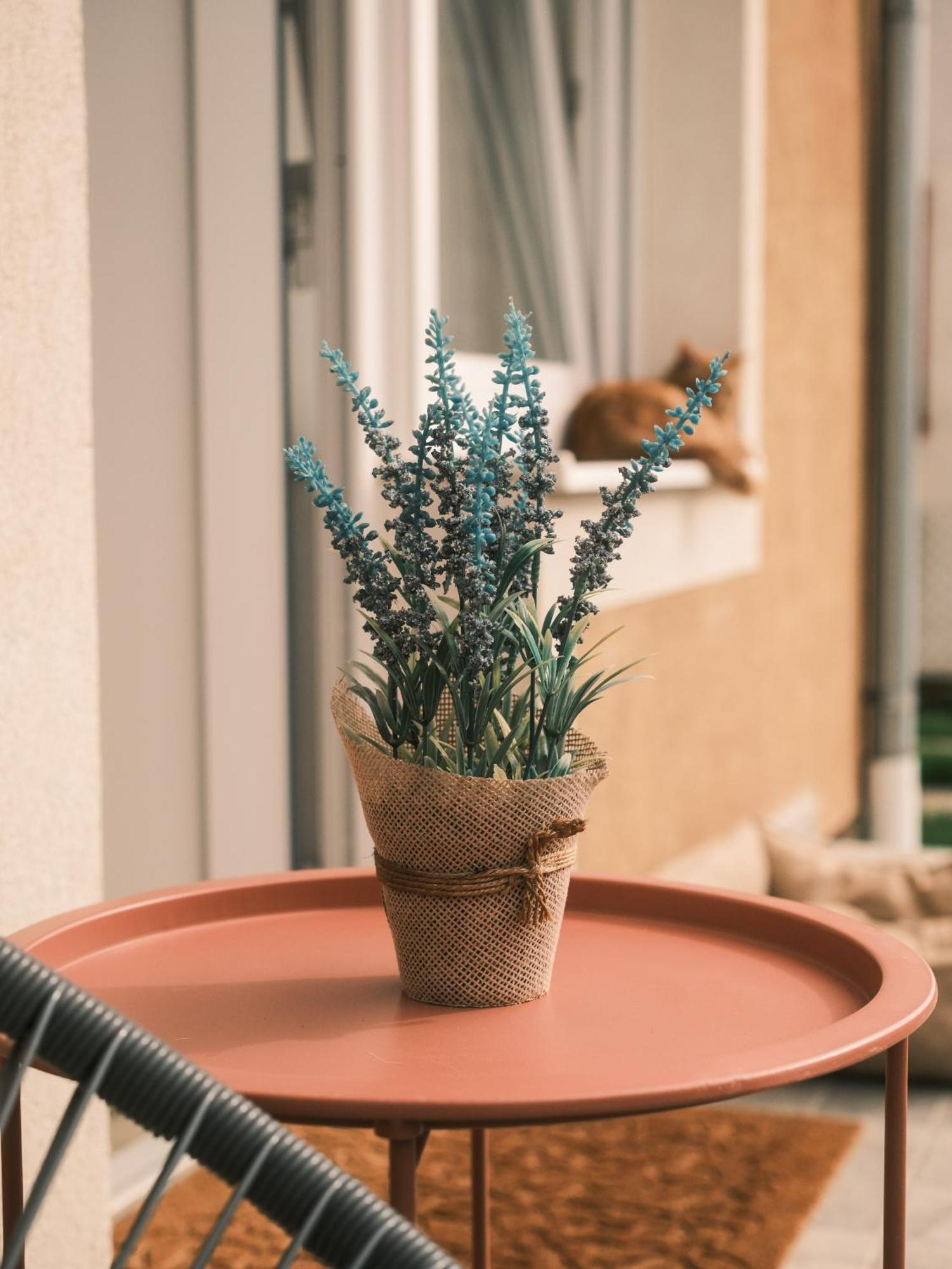 Apartmani Venium Križevci Exteriör bild